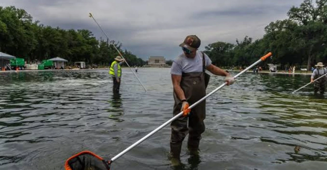 Former Olympian Arrested at Lincoln Memorial Reflecting Pool Denies Vandalism Charges