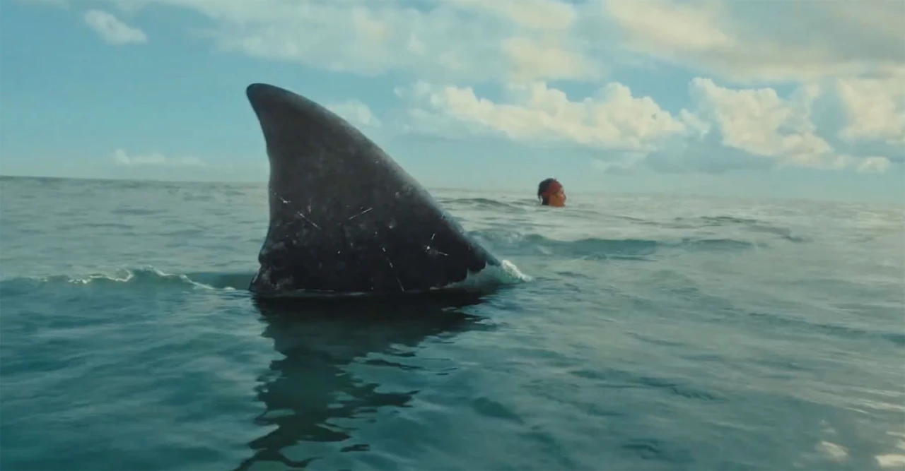 'The Bay' Trailer: Francesca Eastwood Faces a Deadly Shark Attack in New Horror Thriller