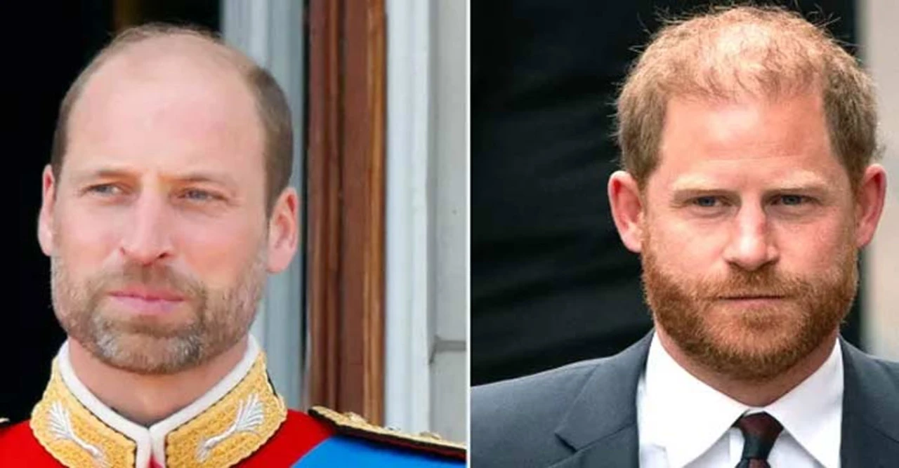 Prince Harry's Private Verdict on Brother William's Kingly Temperament Revealed