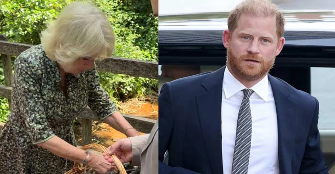 Queen Camilla Shares Heartwarming Winnie-the-Pooh Video Amid Prince Harry's UK Visit