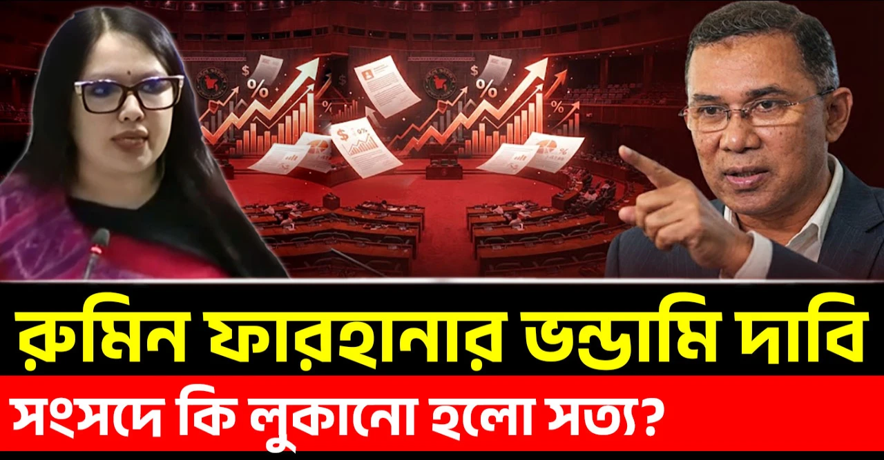 রুমিন ফারহানার বিএনপিকে ঘিরে ভন্ডামি দাবি: গ্যাস বিদ্যুৎ সংকট, দুর্নীতি ও খেলাপি ঋণের দায় কার ঘাড়ে