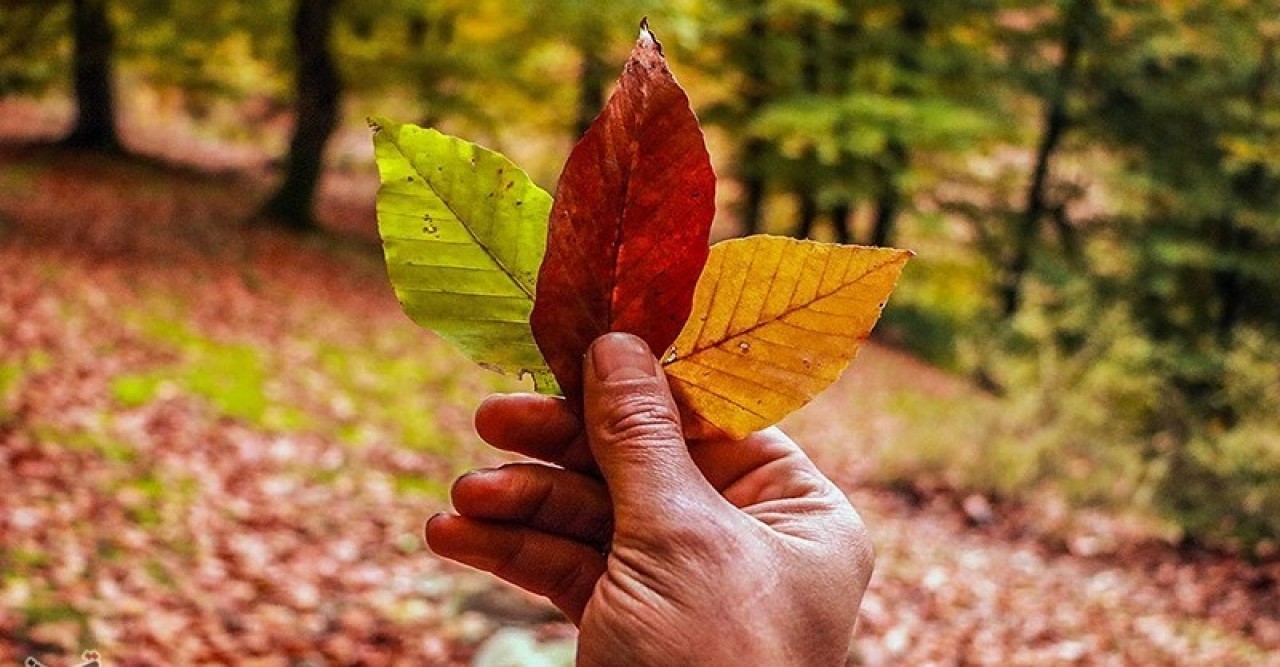 ইরানের গিলান প্রদেশে শরতের অপরূপ প্রকৃতি