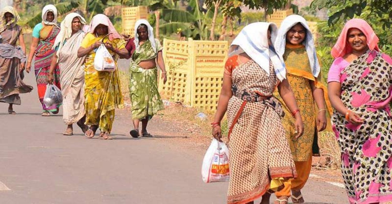 পুরুষদের তুলনায় মহিলারাই বেশি পায়ে হেঁটে কর্মক্ষেত্রে যান, দাবি বিশ্ব ব্যাংকের