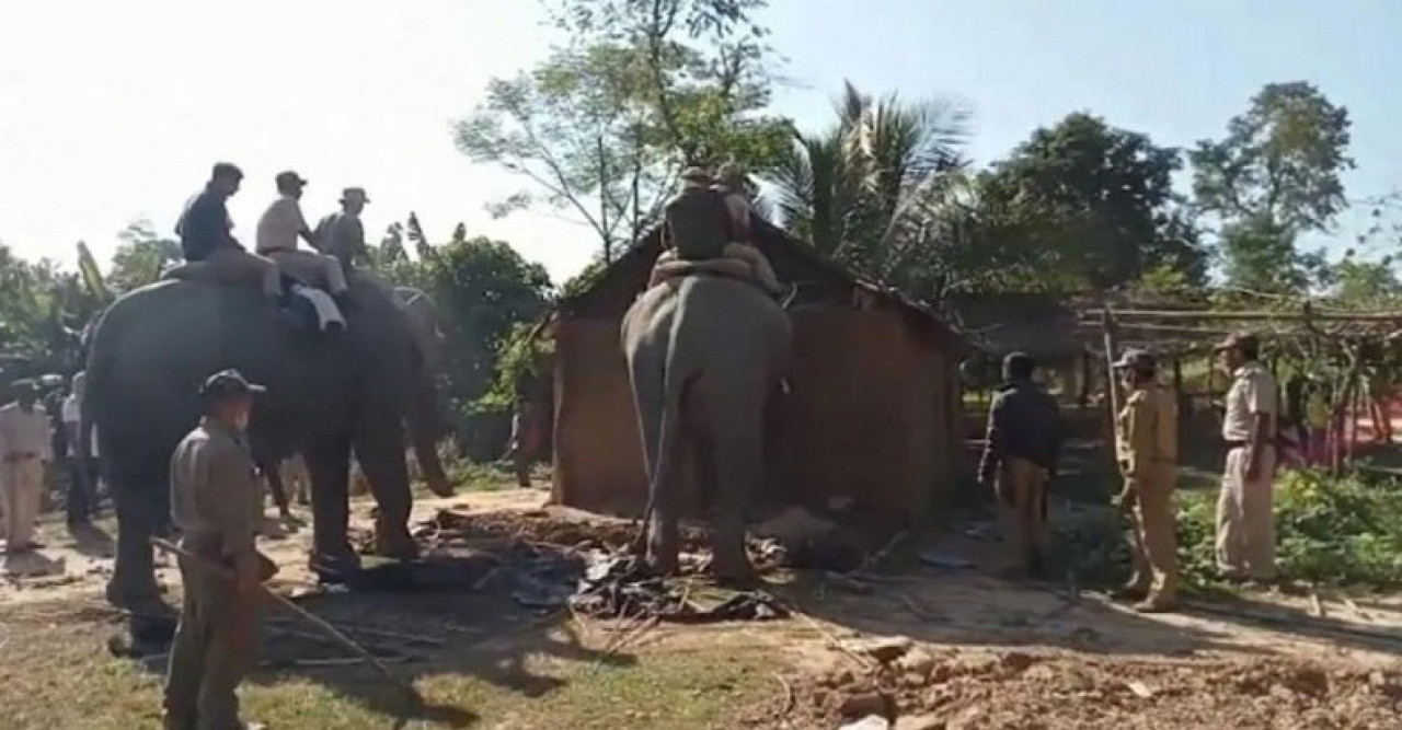 ভারতের আসমে উচ্ছেদ অভিযানে হাতী গুঁড়িয়ে দিল বাড়িঘর ও মসজিদ