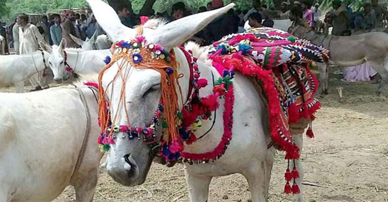 কঠিন কৃচ্ছতার মধ্যে দিয়ে যাচ্ছে পাকিস্তান