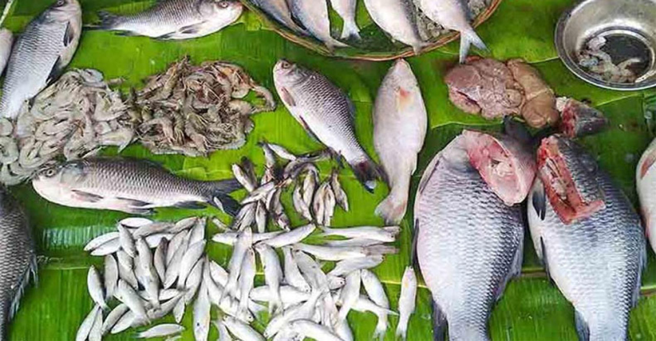 ভাতে-মাছে বাঙালি, এক দশকে মাছ খাওয়ার হার বেড়ে দ্বিগুণ! 