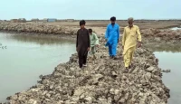 রক্ত নাকি জল? ভারত-পাকিস্তান আবারও সংঘাতে! সিন্ধু চুক্তি নিয়ে তুঙ্গে উত্তেজনা