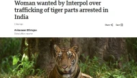 এশিয়ার সবচেয়ে বড় বন্যপশু পাচারকারী ধরা! ১০ বছর পালানোর পর শেষ খেলা