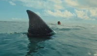 'The Bay' Trailer: Francesca Eastwood Faces a Deadly Shark Attack in New Horror Thriller