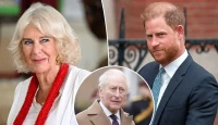 A Royal Dilemma: King Charles’s Olive Branch to Prince Harry Meets Queen Camilla’s Resistance