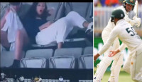 মেলবোর্ন টেস্টে গ্যালারিতে আপত্তিকর অবস্থায় ক্যামেরাবন্দী যুগল