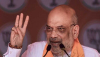 ‘১০০ পার করে গিয়েছি’, অমিত শাহের দাবি ঘিরে প্রশ্ন