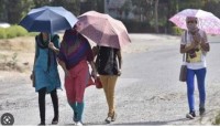 ভারতের বিভিন্ন রাজ্যে তীব্র তাপ প্রবাহ, সতর্কতা জারি