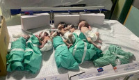গাজার বৃহত্তম হাসপাতাল আল-শিফা ইসরায়েলি সেনাদের হামলা শুরু