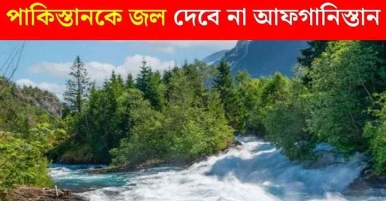 পাকিস্তানের নদীতে বাঁধ দেবে আফগানিস্তান! ভারতের পরই তালিবানের বড় চাল, জল সরবরাহে সংকট