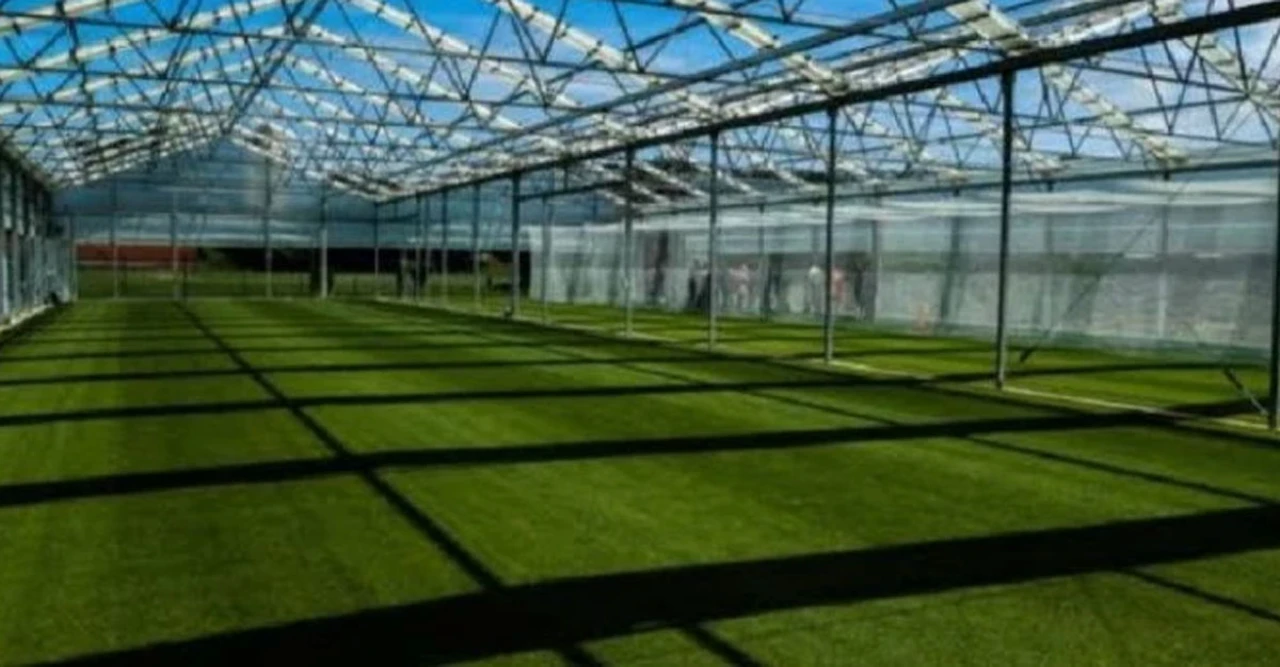 অবিশ্বাস্য অপচয়! ৪ কোটি টাকার 'গ্রিন হাউজ' ব্যবহার শুরুর আগেই ভেঙে দিচ্ছে বিসিবি!