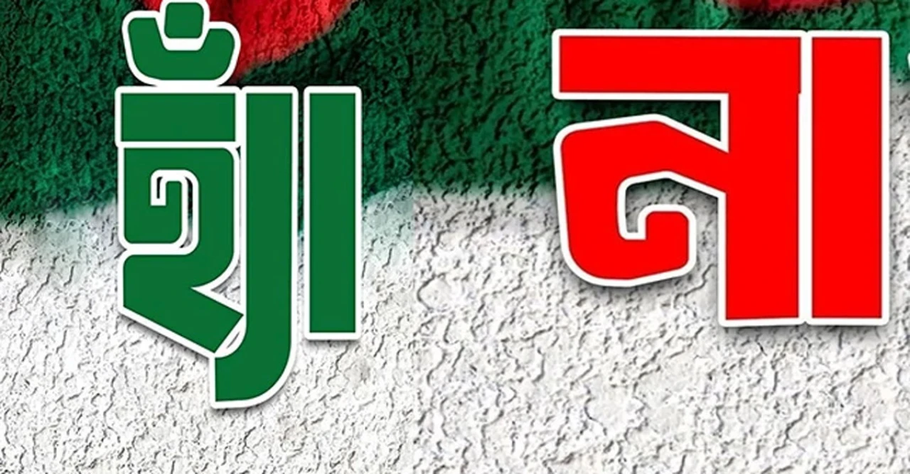 ফেসবুক জ্বলে উঠেছে ‘হ্যাঁ’ ‘না’ যুদ্ধে! নির্বাচনের আগে গণভোটের ঝড়