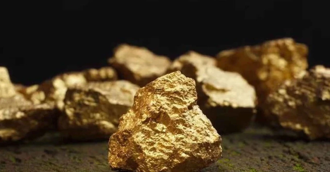 রেকর্ড ভাঙা খোঁজ! মাত্র ১৫ মাসেই বিশাল স্বর্ণ খনি খুঁজে তাক লাগাল দেশটি, বিশ্বের অর্থনীতিতে কী প্রভাব পড়বে?