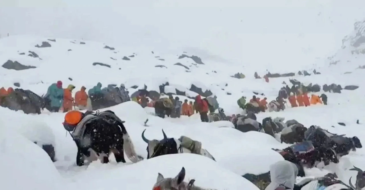 এভারেস্টের পাদদেশে ভয়াবহ পরিস্থিতি, তুষারঝড়ে লুকলায় আটকা শতাধিক বিদেশি পর্যটক!