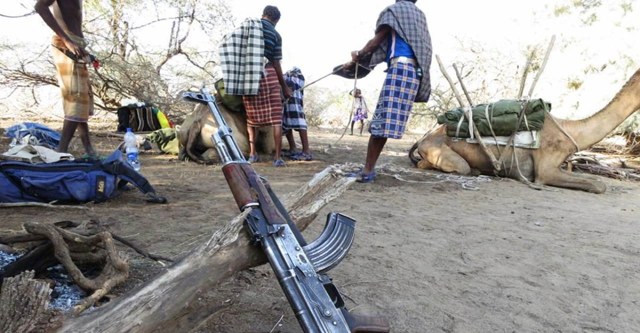 আসামে আদিবাসীদের হাতে আগ্নেয়াস্ত্র! বাংলাদেশ সীমান্তের জেলাগুলোতে বিশেষ স্কিম চালু