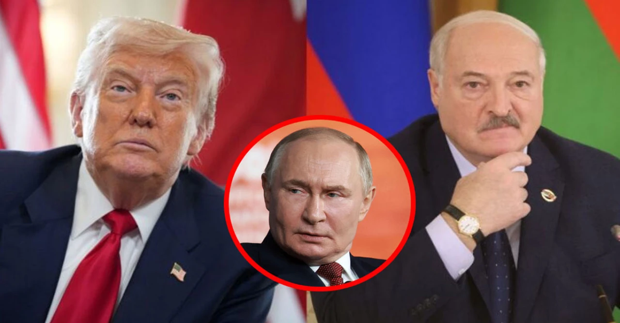 শকিং মুক্তি! লুকাশেঙ্কোর বন্দী ছাড়ার পেছনে ট্রাম্পের গোপন ডিল, পুতিন কী বলছেন?