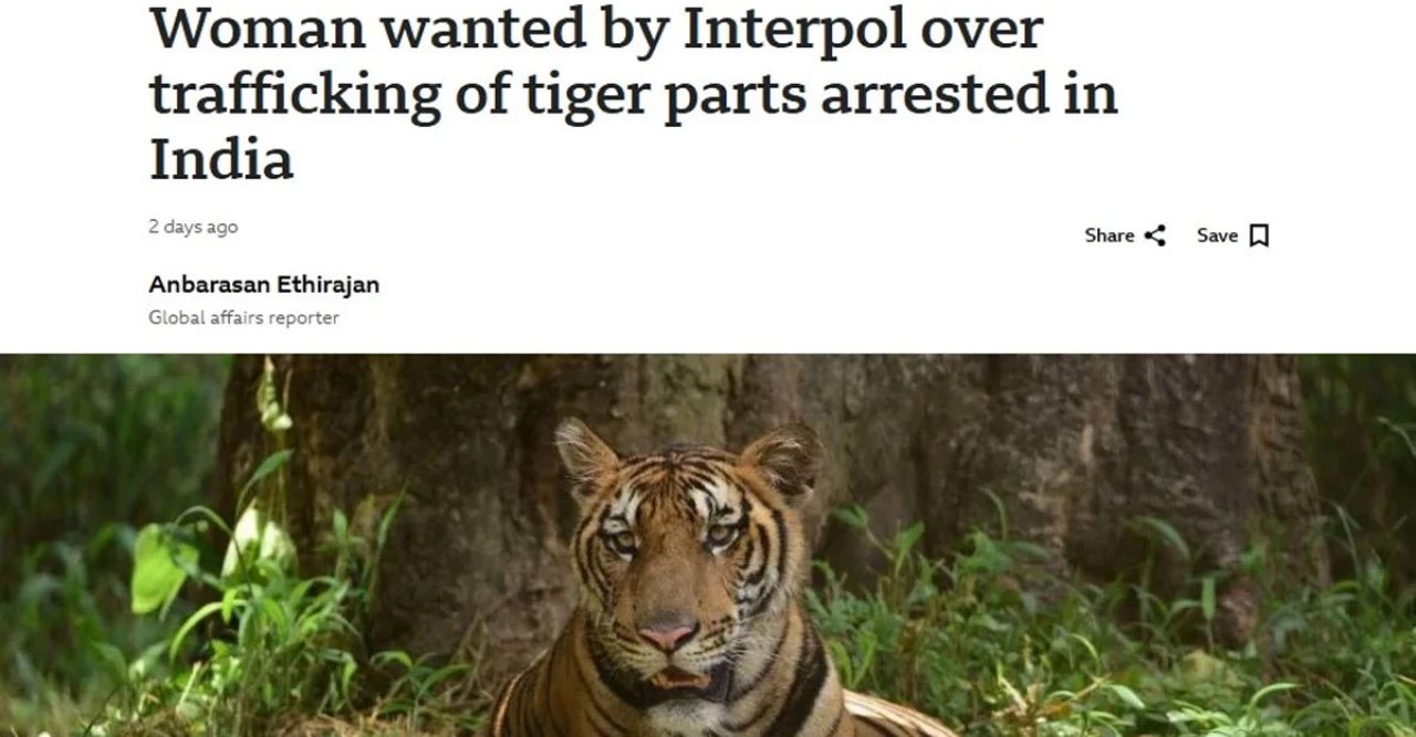 এশিয়ার সবচেয়ে বড় বন্যপশু পাচারকারী ধরা! ১০ বছর পালানোর পর শেষ খেলা