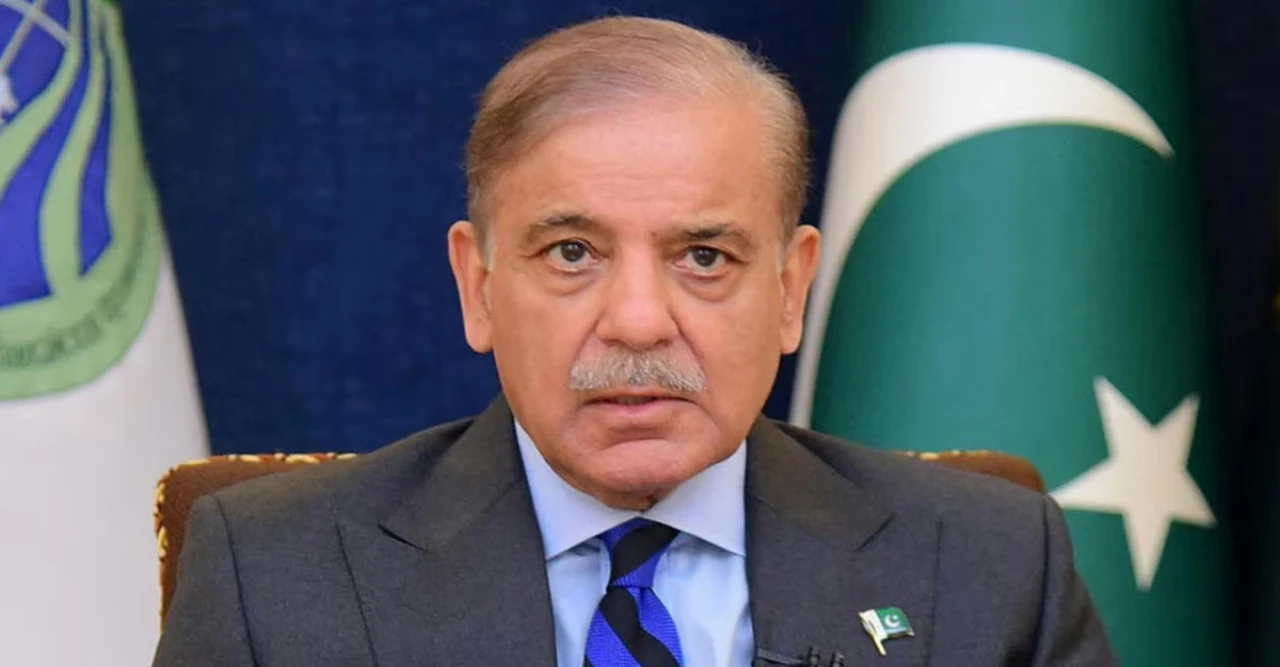 লেবানন যুদ্ধবিরতিকে স্বাগত জানাল পাকিস্তান, ট্রাম্পের কূটনীতিতে স্থায়ী শান্তির আশা শরিফের