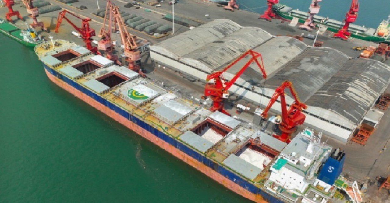 শস্য রফতানি চুক্তিতে আবার ফিরেছে রাশিয়া