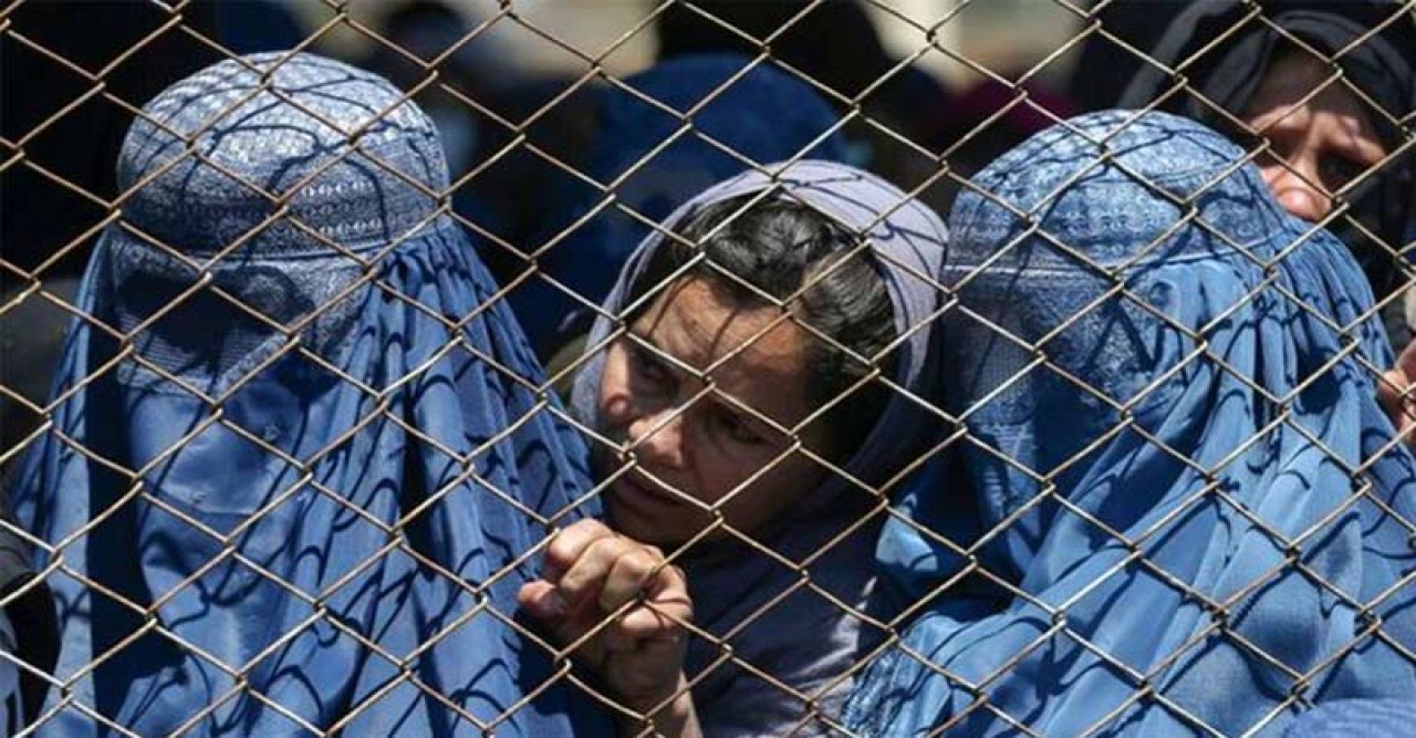 খেলা নয়, ভরা স্টেডিয়ামে মারা হচ্ছে বেত! তালিবানের নির্দেশে আজব দৃশ্য আফগানিস্তানে