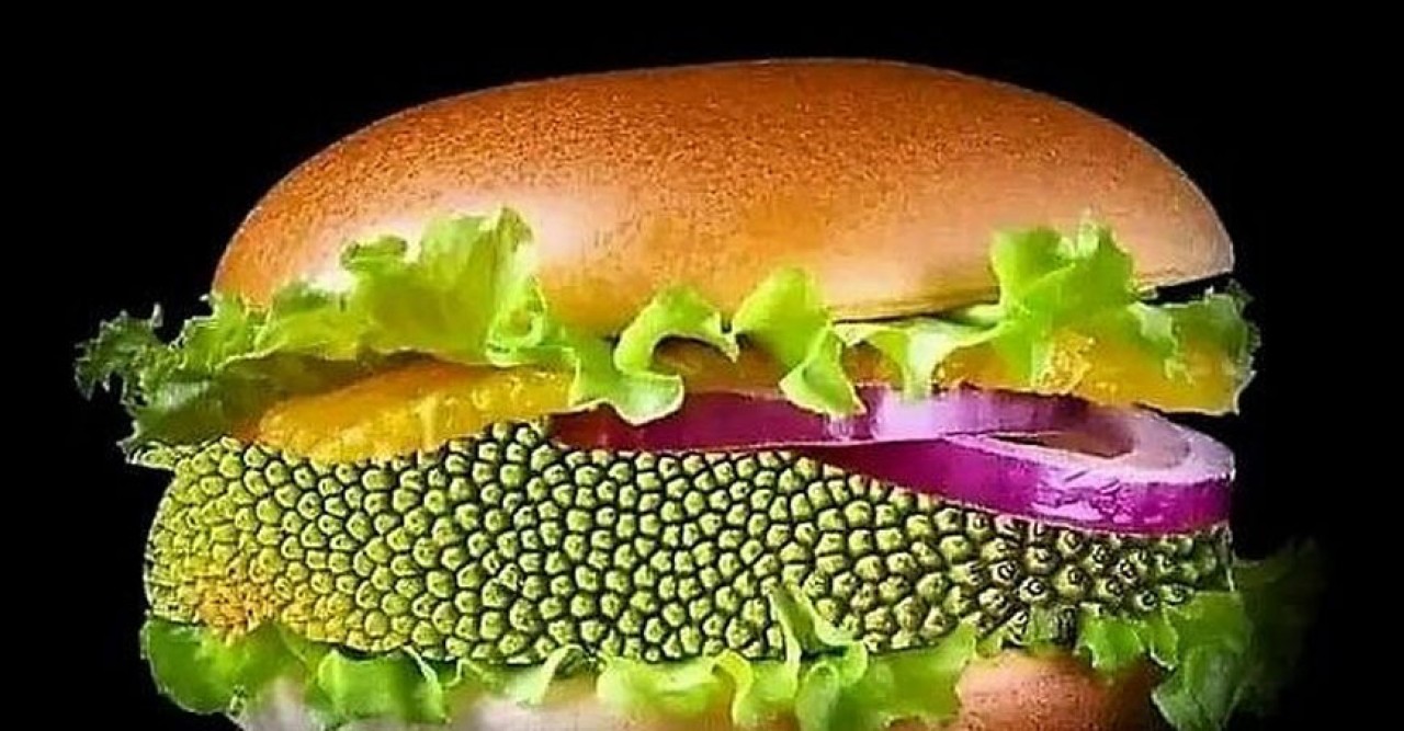 কাঁঠালের বার্গার! কল্পনা নয় বাস্তব