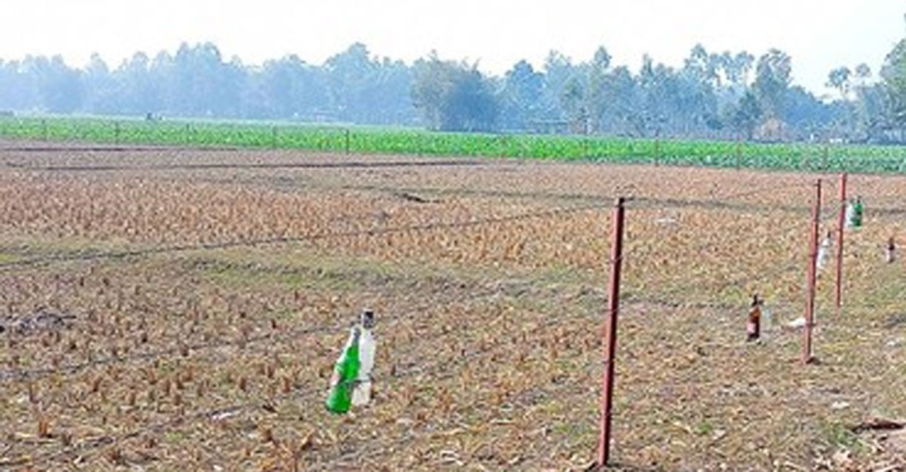 এবার সীমান্তে কাঁটাতারের বেড়ায় বোতল ঝুলিয়ে দিলো বিএসএফ