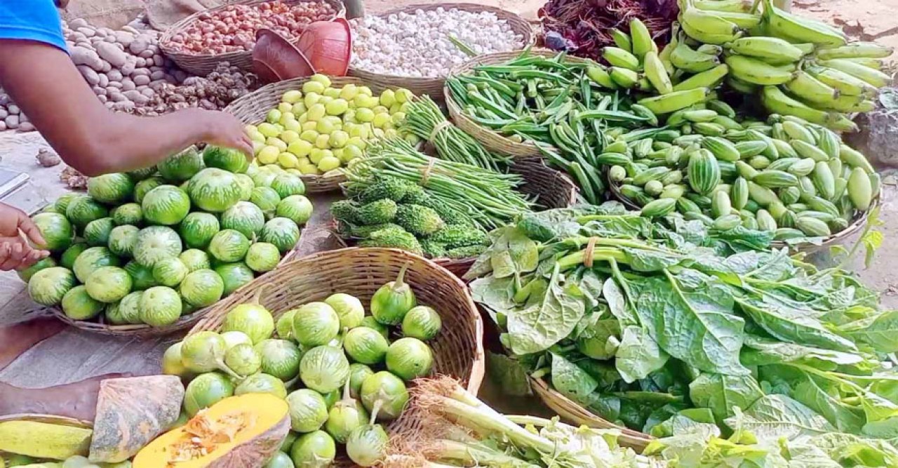 যশোরের শার্শা-বেনাপোলে গৃস্মকালীর সবজির বাজারে ধ্বস: হতাশায় কৃষকরা