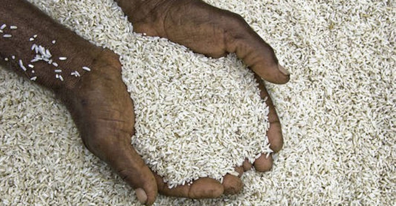 ভারতকে চাল রপ্তানির ওপর থেকে নিষেধাজ্ঞা তুলতে বলল আইএমএফ