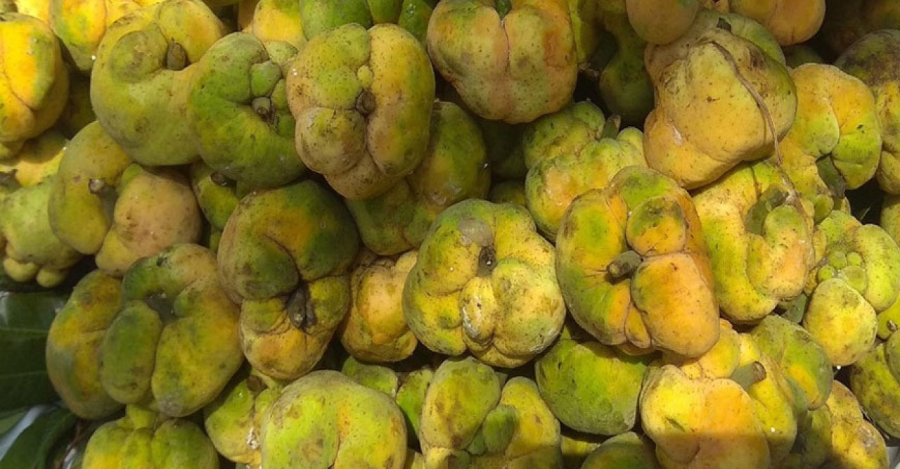 অসাধারণ ভেষজ পুষ্টিগুণে ভরপুর খুবই সুস্বাদু ডেউয়া