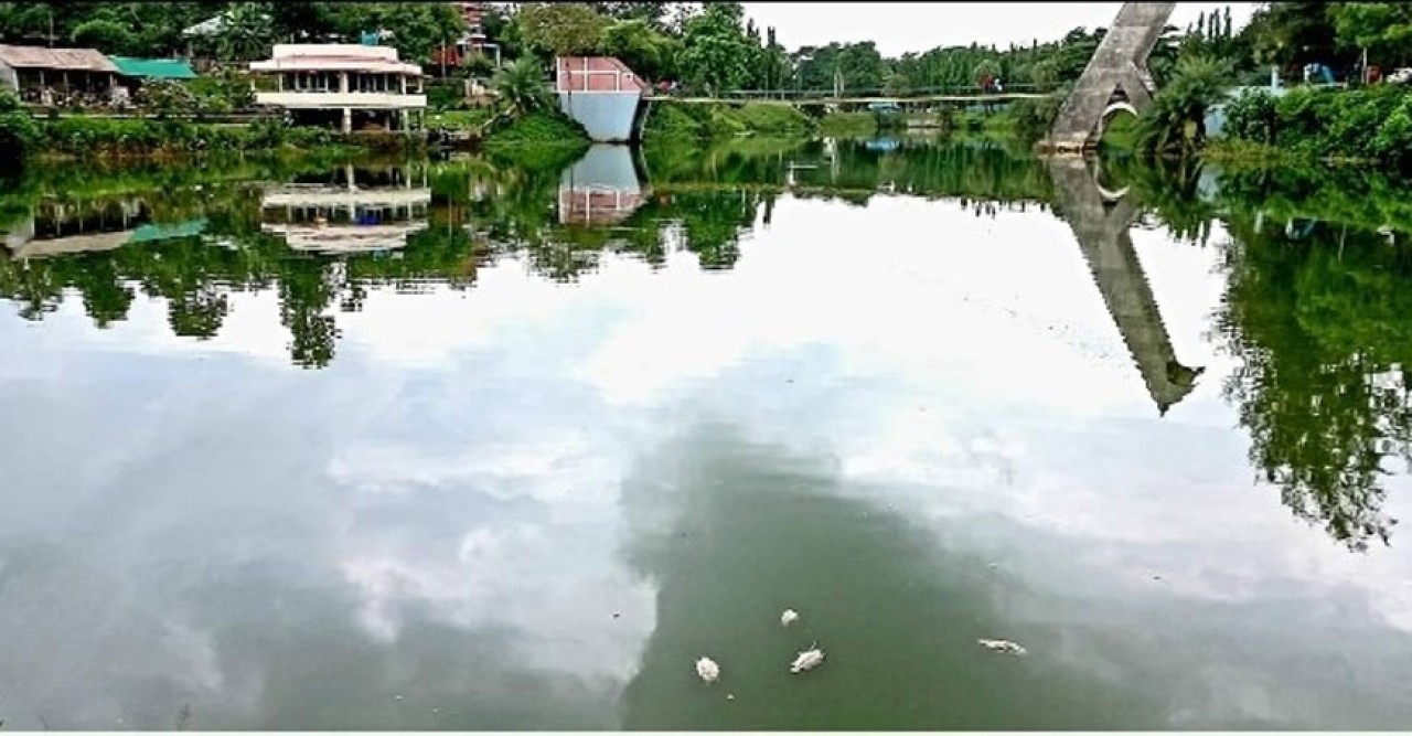 পানি দূষণে মরে যাচ্ছে রামগড় লেকের মাছ