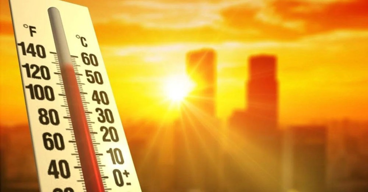 তাপপ্রবাহে ভারতের বিহারে ৮০ জনের মৃত্যু