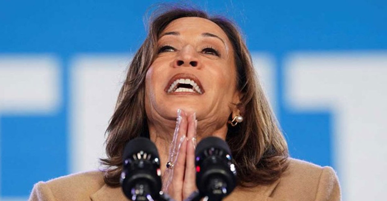 মার্কিন প্রেসিডেন্ট নির্বাচনে কমলার হারের নেপথ্যে