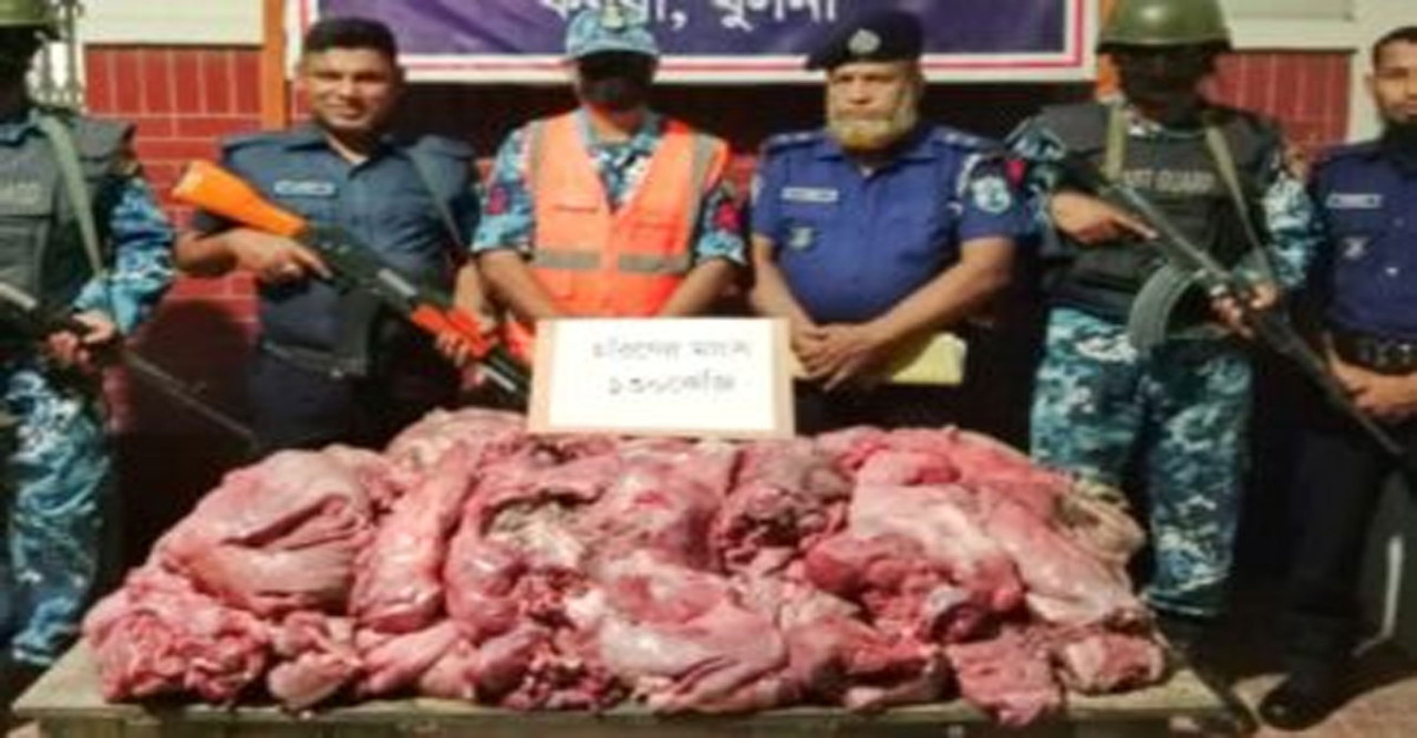 সুন্দরবনে অব্যাহত হরিণ নিধন: শিকারিরা ধরাছোঁয়ার বাইরে, ১২ মণ হরিণের মাংসসহ শিকারি আটক ৯