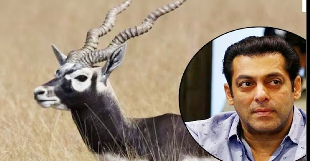 হরিণ শিকারের কারণেই বিষ্ণোই হয়ে উঠেছেন সালমান খানের প্রধান শত্রু