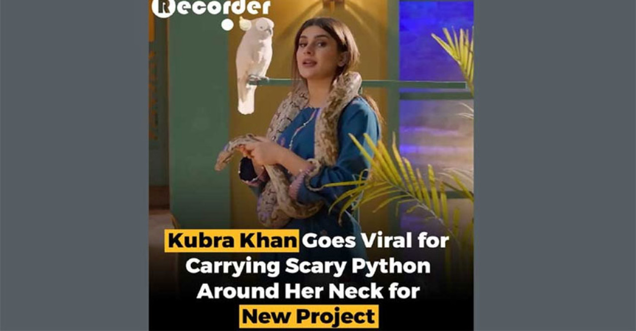 কাঁধের ওপর বিরাট অজগর নিয়ে সামাজিক মাধ্যম কাঁপালেন অভিনেত্রী