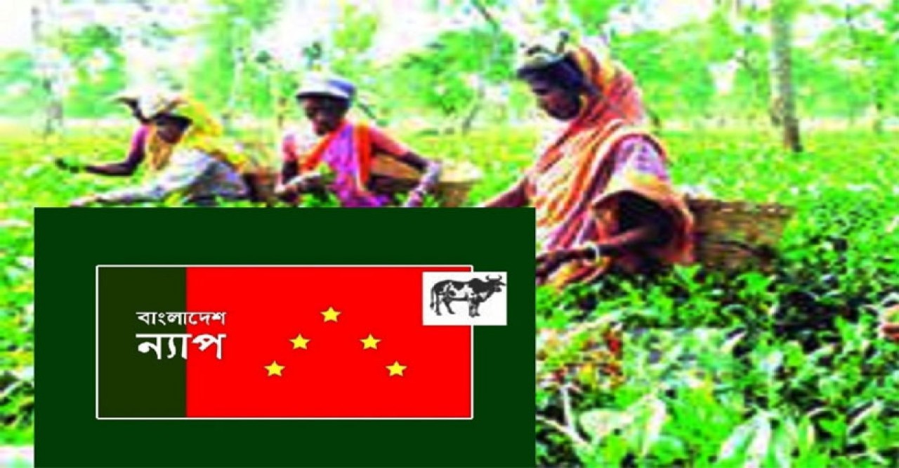 মজুরি নিয়ে চা শ্রমিকদের সাথে তামাশা বন্ধ করুণ: বাংলাদেশ ন্যাপ