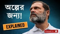 অল্পের জন্য বাঁচল রাহুলের সাংসদ পদ, কী আছে আইনে, কেনই বা রক্ষা পেলেন