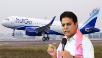 হিন্দু মন্দির ভাঙচুর, ছেঁড়া গেরুয়া পতাকা, ইংল্যান্ডের শান্তিপূর্ণ শহরে তাণ্ডব মুসলিম জেহাদিদের