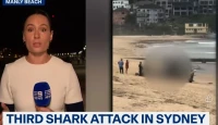 সিডনিতে হাঙরের ত্রাস! ২৬ ঘণ্টায় ৩ হামলা, ২ তরুণ মৃত্যুর মুখে 