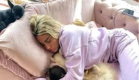 Katie Price Faces Renewed Scrutiny After Husband Reveals Death of Her Cat