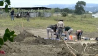 Gruesome Discovery at California No-Kill Shelter: 117 Dead Dogs Unearthed, Many Shot, as Probe Widens