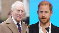 Royal Household Clarifies Status of Alleged King Charles Offer to Prince Harry