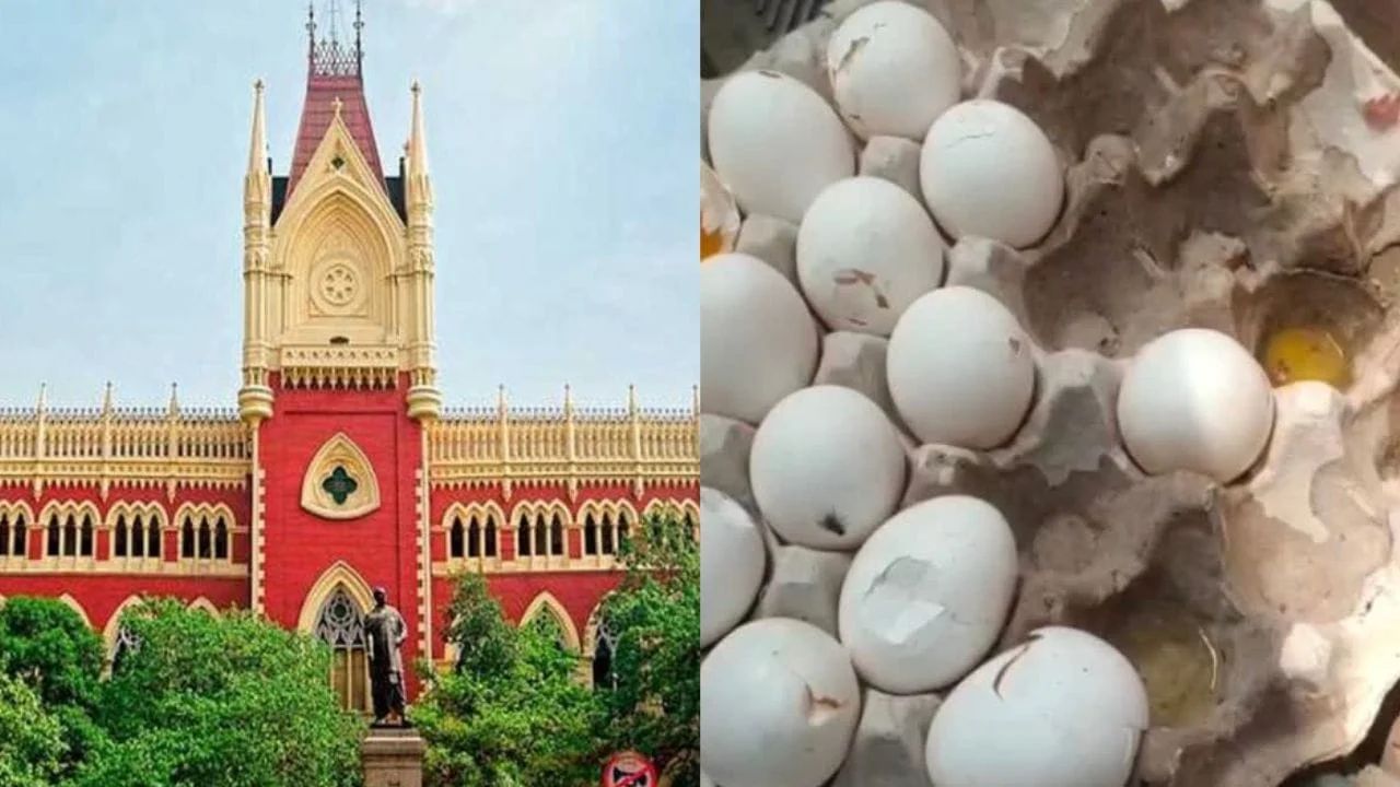 Calcutta High Court: The water is boiling in the court, what will happen if you throw eggs...