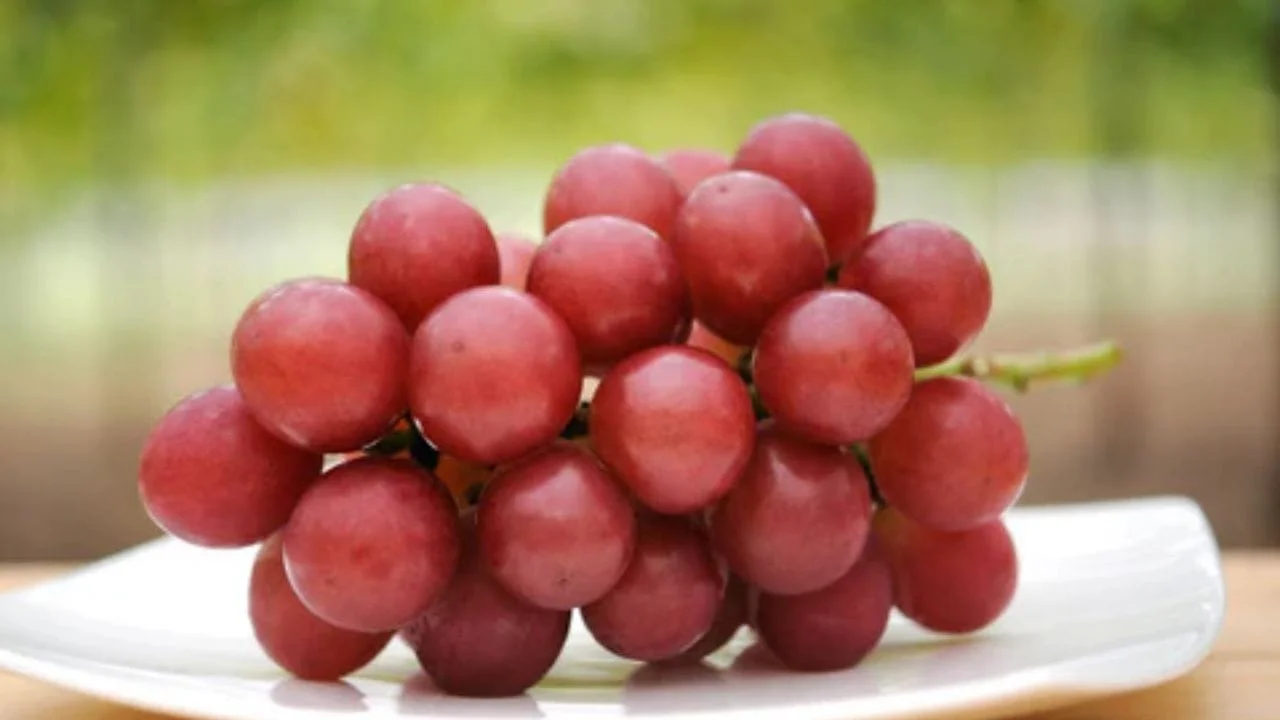 The World's Most Expensive Fruits: A Look at Nature's Luxury Items