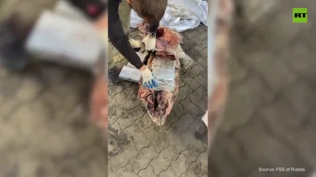 রাশিয়া হিমায়িত মাছের মধ্যে লুকিয়ে থাকা বিশাল কোকেন উদ্ধার করেছে – FSB (ভিডিও)